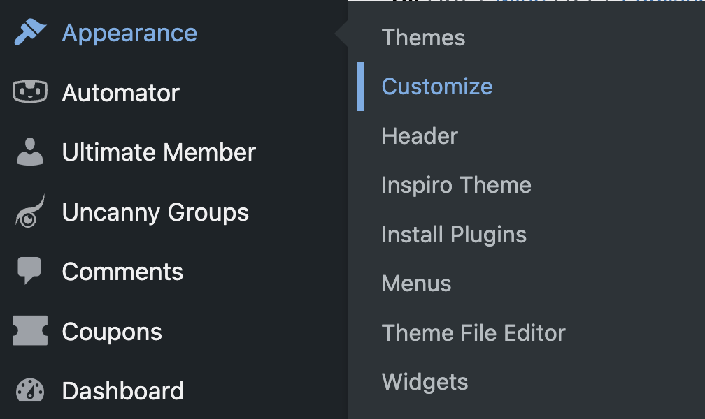 wordpress-appearance-customize