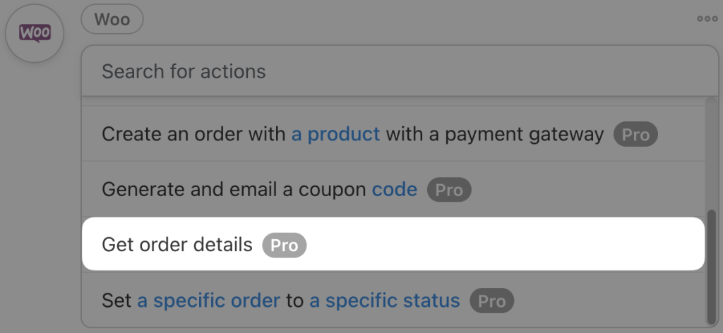 woocommerce-actions-get-order-details