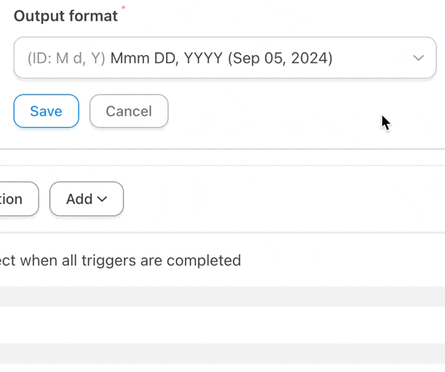 formatter-date-output-options formatter-date-output-options